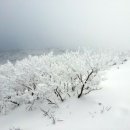 사랑자동차공업사 이미지