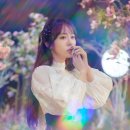 이수영 티브이데일리