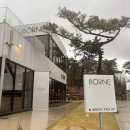 충렬로 | 양산상북카페 디저트가 맛있는 보르너 솔직후기