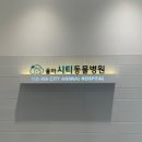 율하시티동물병원 네이버블로그