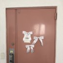 연제구-175 | 👩🏻‍❤️‍👨🏻 웨딩드레스 대여, 류무환 사진관 연계 | 르에드 드레스 LEADD