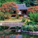 오동마을 | 전주류씨 수곡파 460년의 역사 제4장 문화재文化財 및 고가古家 삼산종택三山宗宅 삼산정三山亭 서파정...