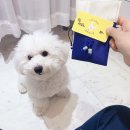 멈무유치원 네이버블로그