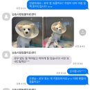 삼송사랑 동물의료센터 이미지