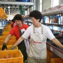 무주 농산물산지유통센터 이미지