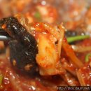 용두홍어 이미지