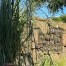 스테이 알오에이 이미지