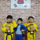 국가대표 타이거 태권스쿨 2관 이미지
