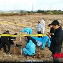 인출농장 이미지