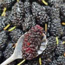 상원농장 이미지