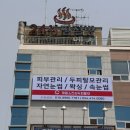 채원스킨앤두피탈모 네이버블로그