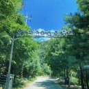 아무르베이커리 이미지