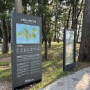 고흥 소록대교입구