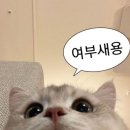 거기조아 | 분당가족사진 찍으러 갔다가 진짜 가족 대통합(?) 해버린 후기ㅋㅋ 조아패밀리 다녀왔어요📸