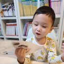 음메소농장 이미지