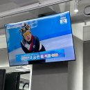 하가로트리 | 2월 일상..인데 제주도 여행을 곁들인..