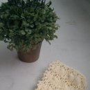 주구장창 이미지