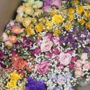 화인헬스케어 이미지