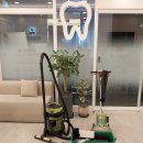 보흥 | 목감 치과 정기청소 후기