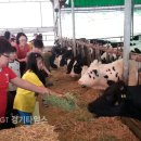 남창초교 이미지