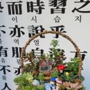 다육식물체험장 네이버블로그