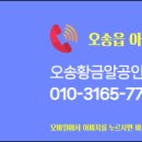 황금알부동산중개사무소 이미지