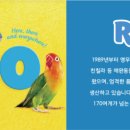리프리오 이미지