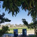 한국농장 이미지