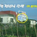 세정민박 이미지