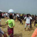 태안바다 이미지