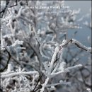 통통이네 이미지