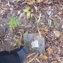 주봉2리 이미지