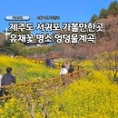 3384 | 4월 여행 제주도 서귀포 중문 가볼만한곳 유채꽃 명소 엉덩물계곡 추천 주차 후기