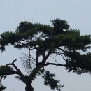 행복동산 이미지