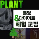 [오리역 체형교정] 플랜트 운동센터에서 척추측만·골반틀어짐 교정 받았어요 (구미동PT)
