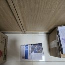 블루&펫 | [김해 양산 창원 부산] 펫시터와 터키쉬 앙고라,러시안 블루 숨 막히는 숨바꼭질 후기