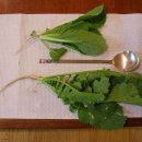 철용농장 이미지