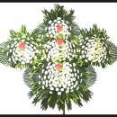 서구-01-52 이미지