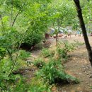 화진농장 이미지