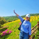 대전식당 | 대전 근교 충북 옥천 여행 가볼만한곳 구읍 여행지 코스