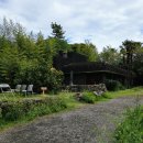 회수동-6 | 제주 카페 중문별장 / 코쿤이 방문했던 커피 오마카세 내돈내산 예약