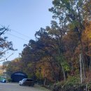 다산솔농장 이미지