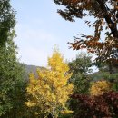 대운산자연휴양림(양산) 이미지