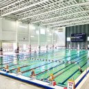 배미수영장 이미지