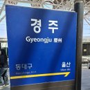 어머니와 함께한 경주 여행 DAY 1: 경주역~황리단길~첨성대~대릉원