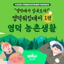 장성군립삼계도서관 | 🍍장성 아열대청년마을 한달살기- 2주차 후기 (feat :영덕)