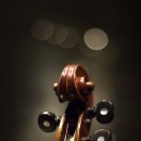 첼로파크 이미지