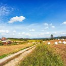 주경목장 이미지