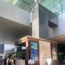 공항관광안내소 | 푸꾸옥 빈펄리조트, 공항에서 무료셔틀 픽업 방법 및 후기 (내돈내산)
