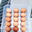 퍼털그라운드 이미지